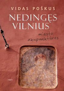 Nedingęs Vilnius: miesto akupunktūros