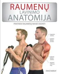 Raumenų lavinimo anatomija