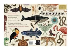 Animalium