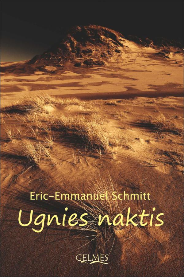 Ugnies naktis