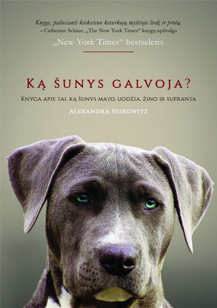 Ką šunys galvoja?