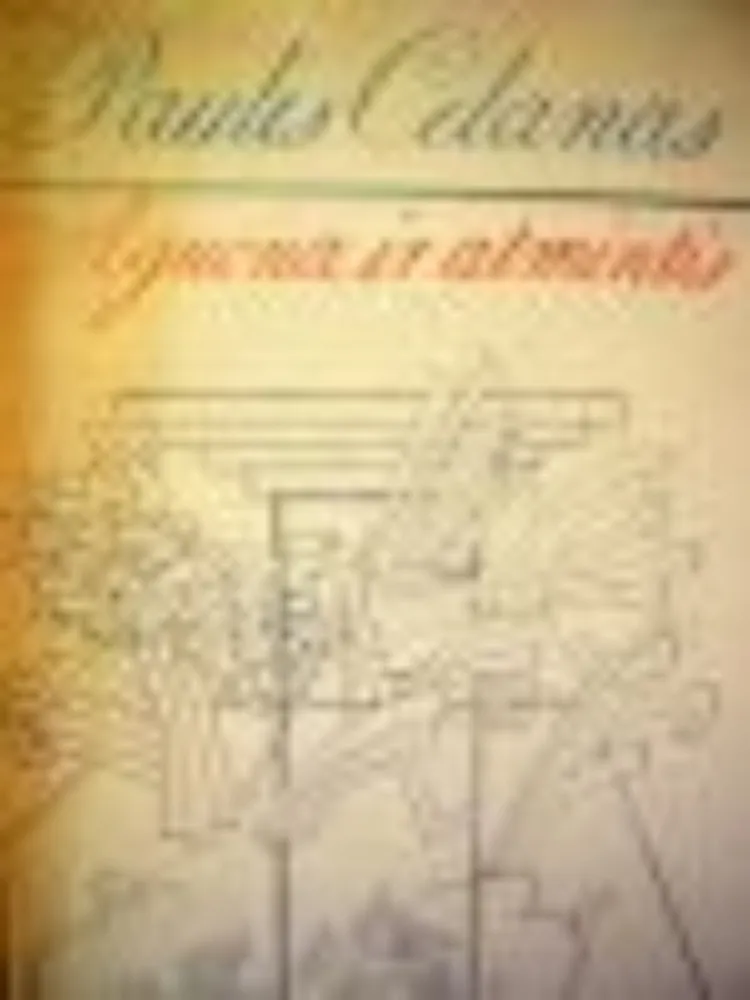 Aguona ir atmintis