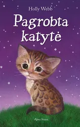 Pagrobta katytė