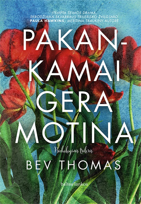 Pakankamai gera motina