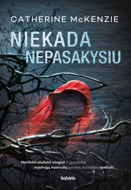 Niekada nepasakysiu
