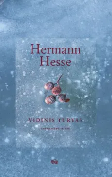 Vidinis turtas