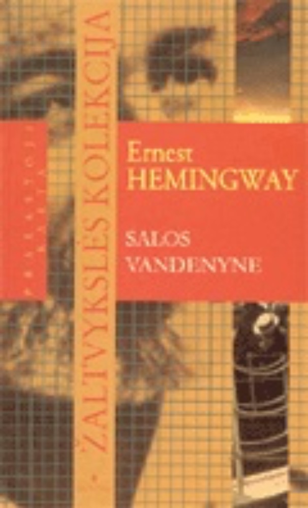 Salos vandenyne