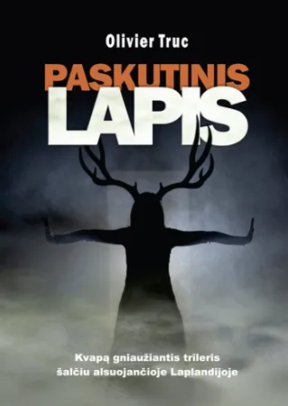 Paskutinis lapis
