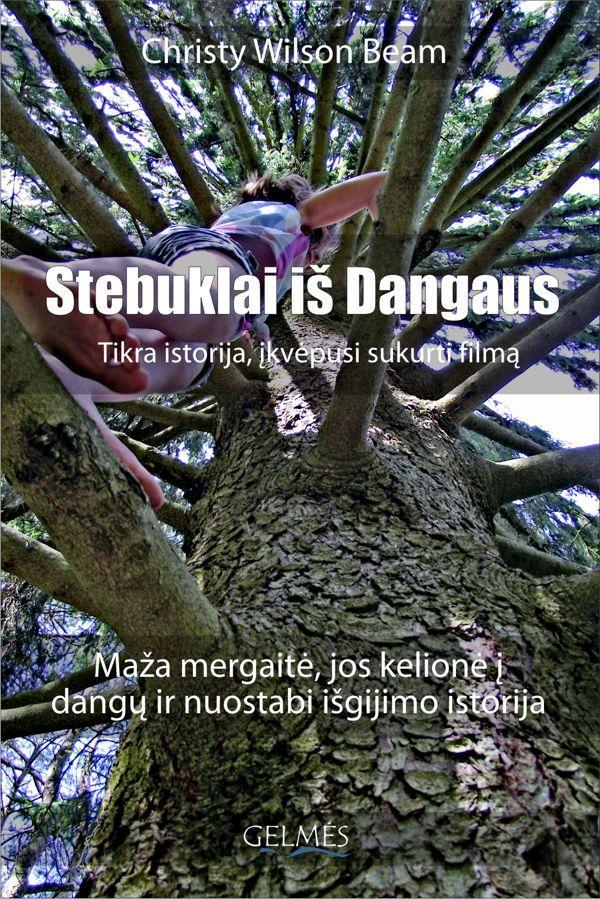 Stebuklai iš Dangaus