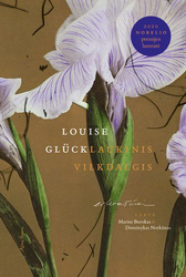 Laukinis vilkdalgis