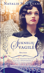 Suknelių vagilė