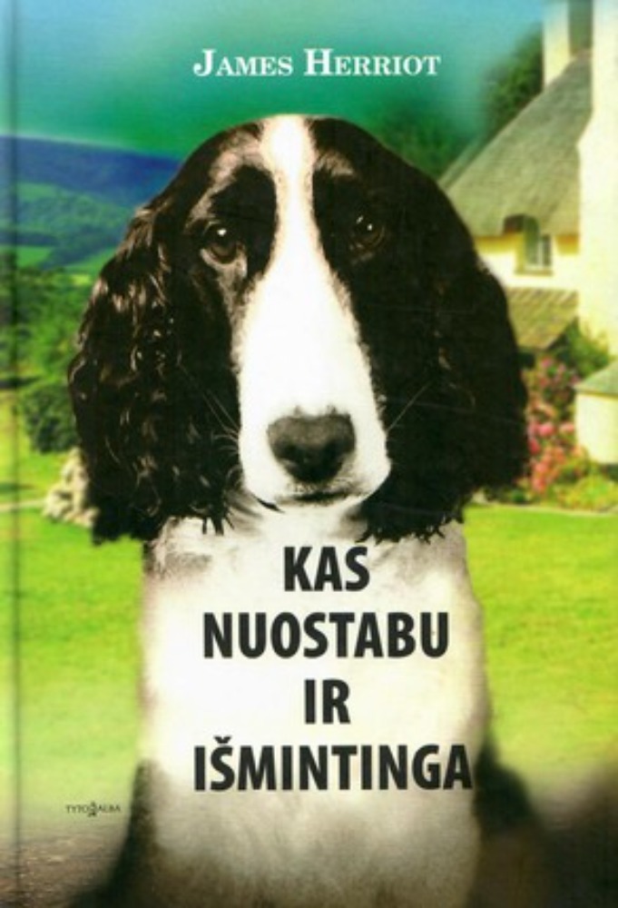 Kas nuostabu ir išmintinga