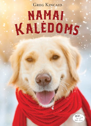 Namai Kalėdoms