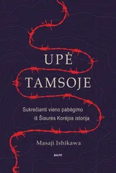 Upė tamsoje