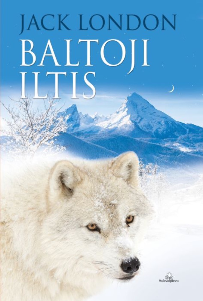 Baltoji iltis