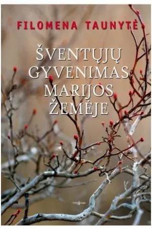 Šventųjų gyvenimas Marijos žemėje