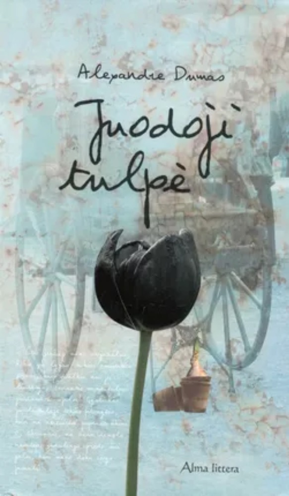 Juodoji tulpė