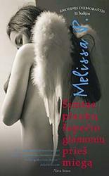 Šimtas plaukų šepečio glamonių prieš miegą