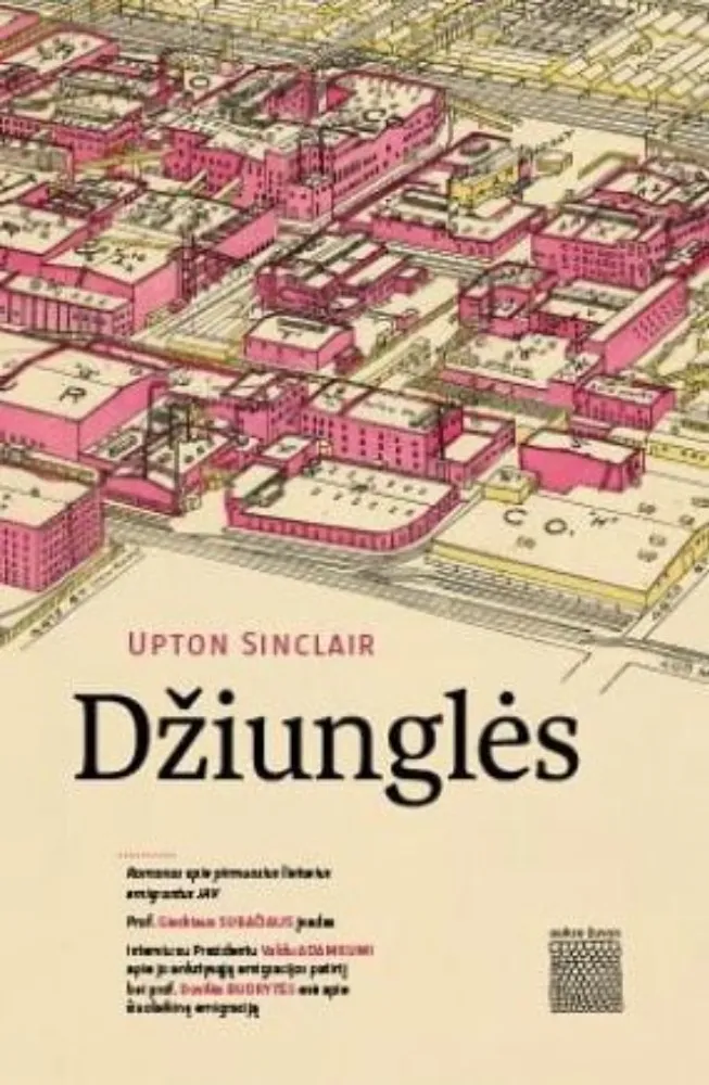 Džiunglės