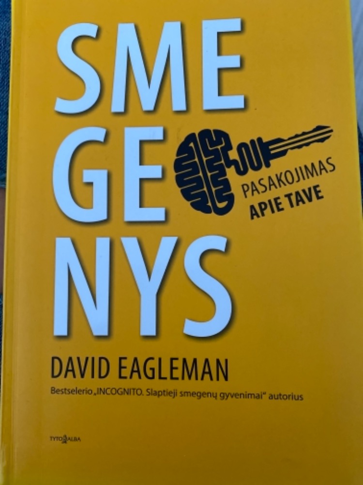 Smegenys