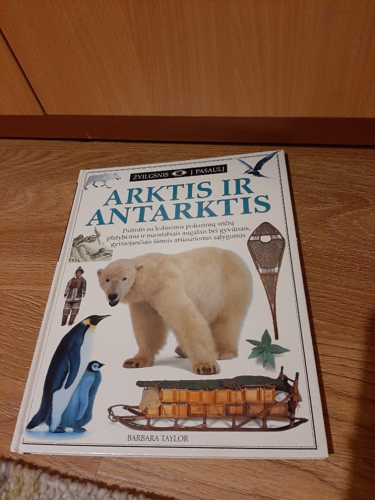Arktis ir Antarktis