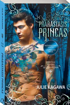 Prarastasis princas (serijos "Geležies fėjūnai" 5-oji knyga)