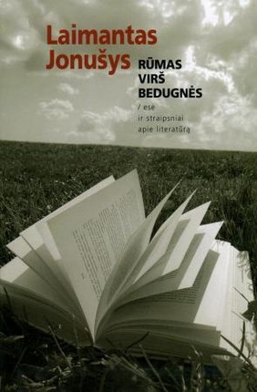 Rūmas virš bedugnės