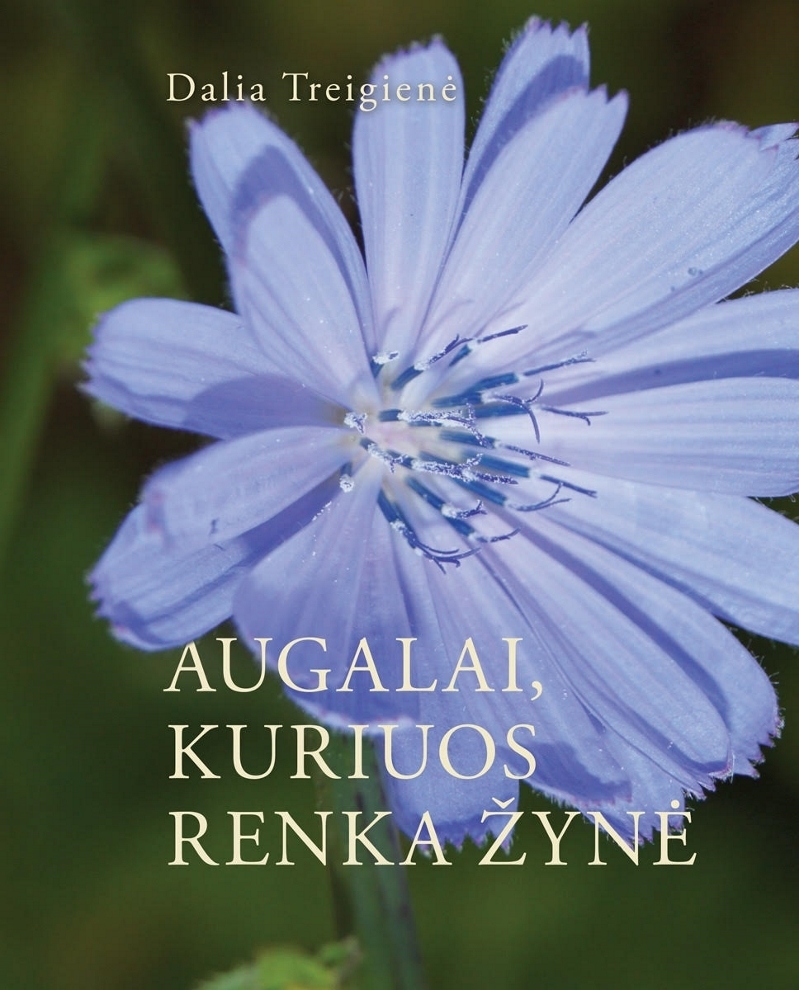 Augalai, kuriuos renka Žynė