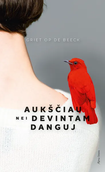 Aukščiau nei devintam danguj