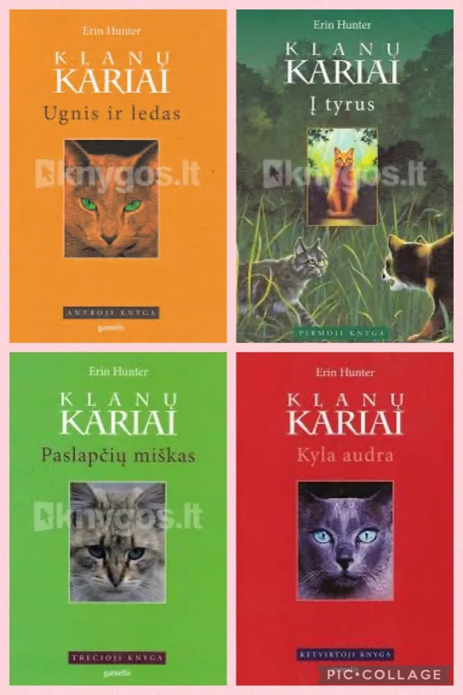 Klanų kariai. 1–4 knygos
