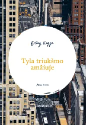 Tyla triukšmo amžiuje. Kaip atsiriboti nuo išorinio pasaulio