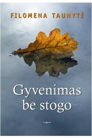 Gyvenimas be stogo