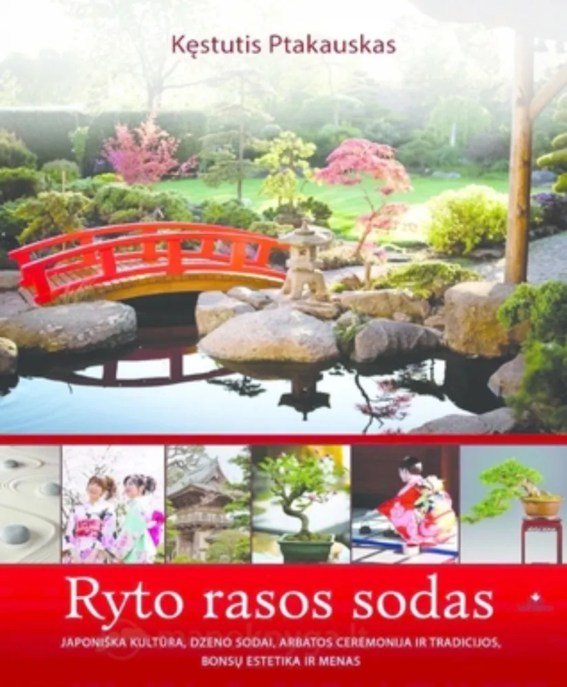 Ryto rasos sodas