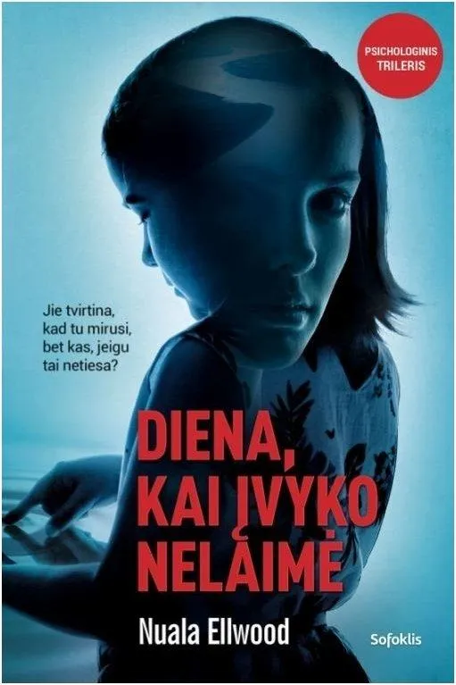 Diena, kai įvyko nelaimė