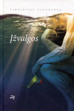 Įžvalgos