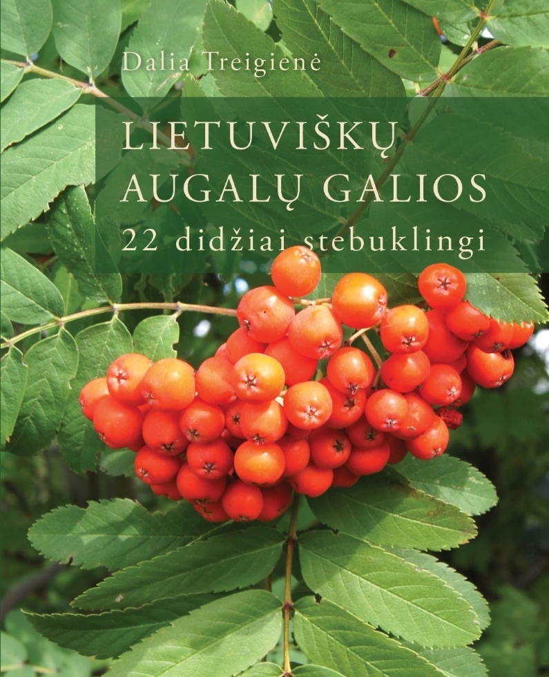 Lietuviškų augalų galios. 22 didžiai stebuklingi