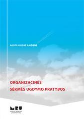 Organizacinės sėkmės ugdymo pratybos