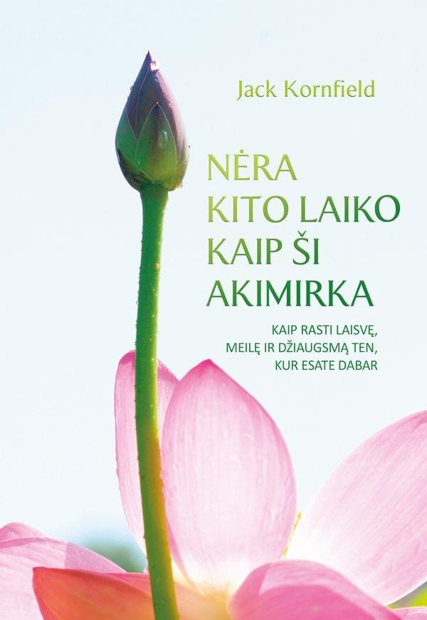 Nėra kito laiko kaip ši akimirka. Kaip rasti laisvę, meilę ir džiaugsmą ten, kur esate dabar