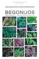 Begonijos (begonia l.) genties augalai