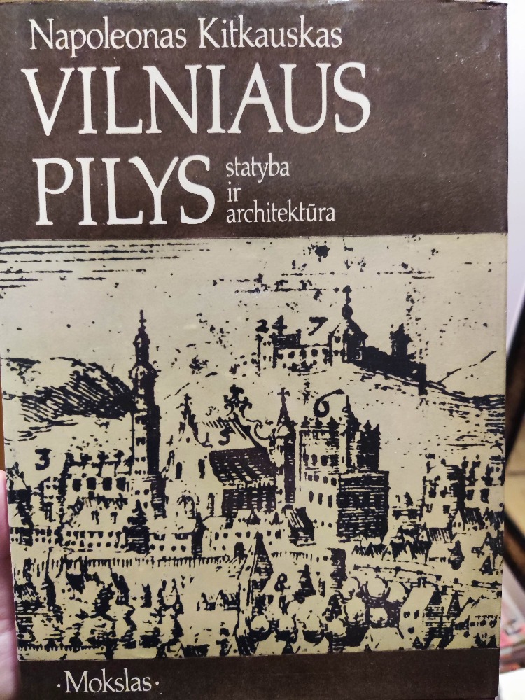 Vilniaus pilys