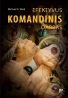 Efektyvus komandinis darbas