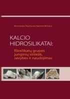 Kalcio hidrosilikatai: filosilikatų grupės junginių sintezė, savybės ir naudojimas
