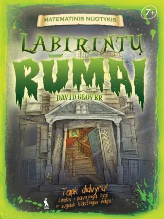 Labirintų rūmai (serija "Matematinis nuotykis")