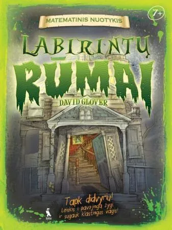 Labirintų rūmai (serija "Matematinis nuotykis")