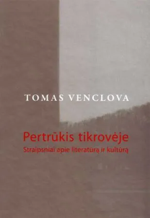 Pertrūkis tikrovėje. Straipsniai apie literatūrą ir kultūrą