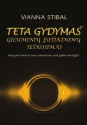 Teta gydymas. Giluminių įsitikinimų ieškojimas
