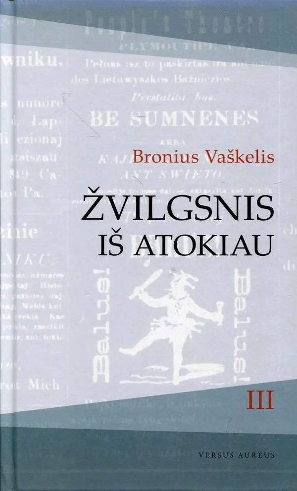 Žvilgsnis iš atokiau, III