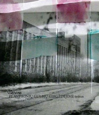 Plastikinių gulbių girgždėjime. Šeškus