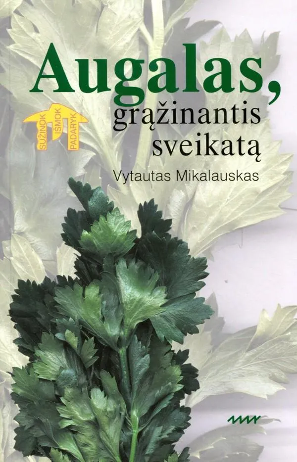 Salieras. Augalas, grąžinantis sveikatą