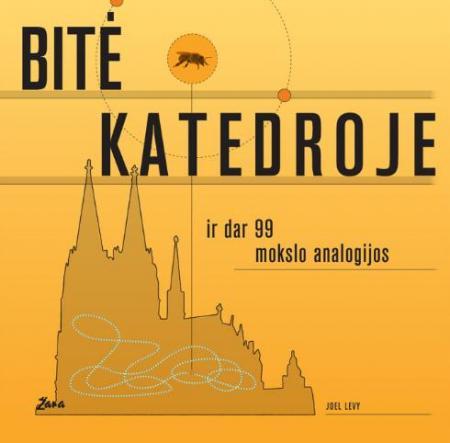 Bitė katedroje ir dar 99 mokslo analogijos
